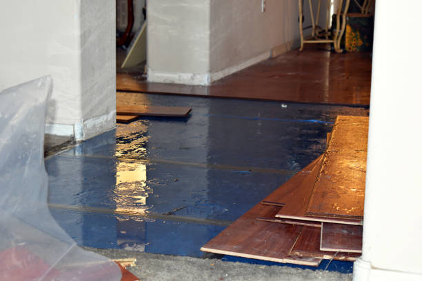 Professional Burst Pipe Cleanup technician working in Emmons, MN