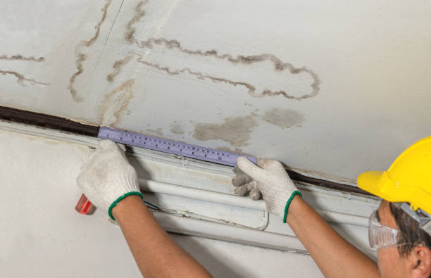 Reliable Burst Pipe Cleanup contractor in Emmons, MN by Water Damage Irwin